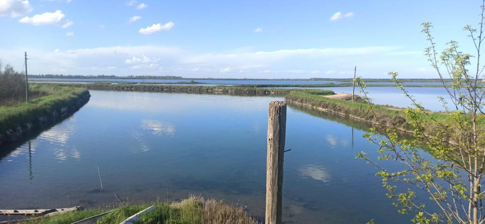 Casa Vacanze Nel Delta Del Po Taglio di Po 외부 사진