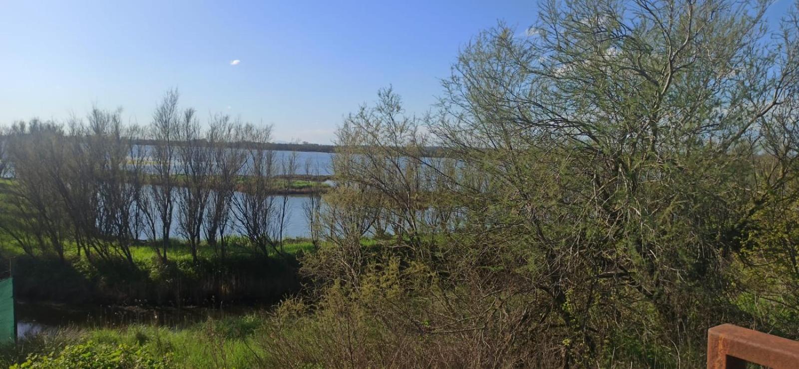 Casa Vacanze Nel Delta Del Po Taglio di Po 외부 사진