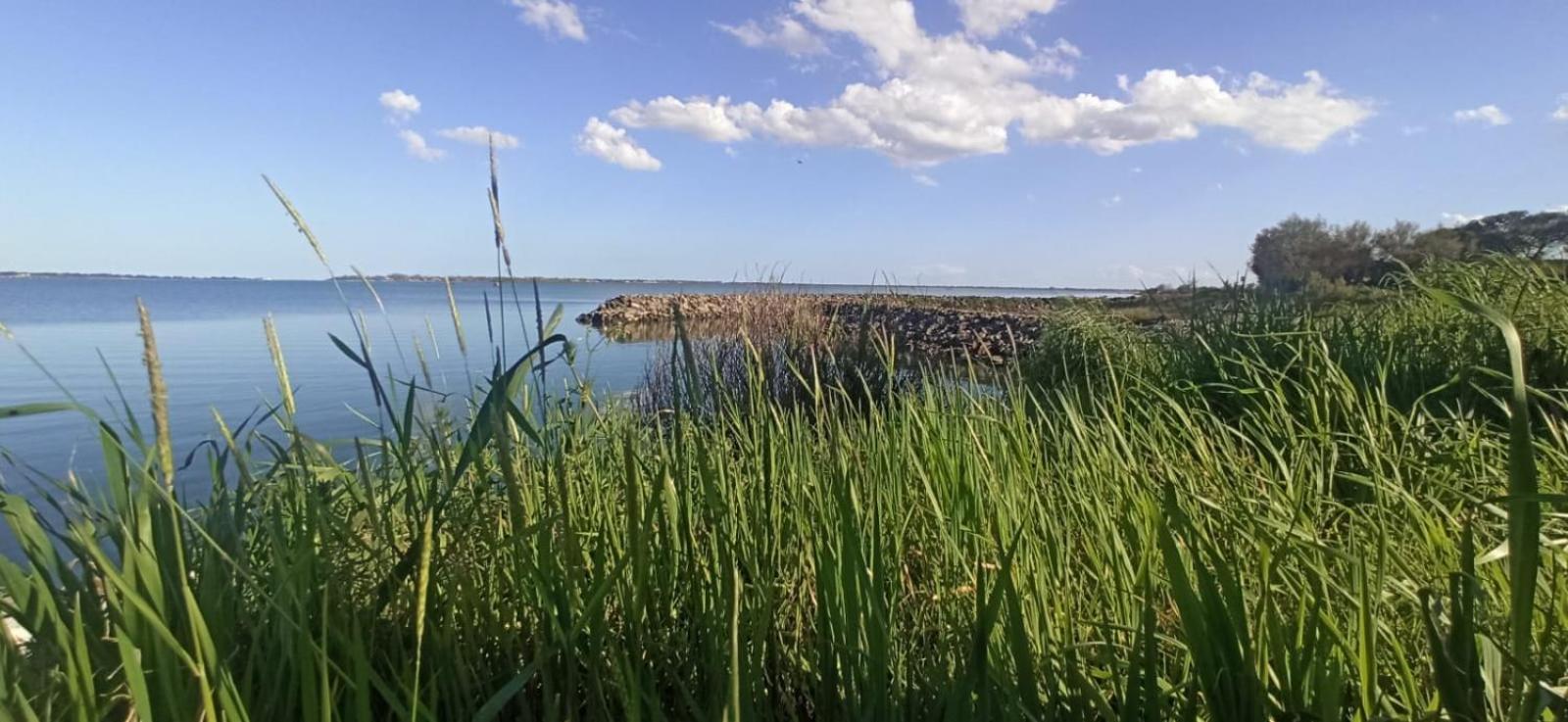 Casa Vacanze Nel Delta Del Po Taglio di Po 외부 사진