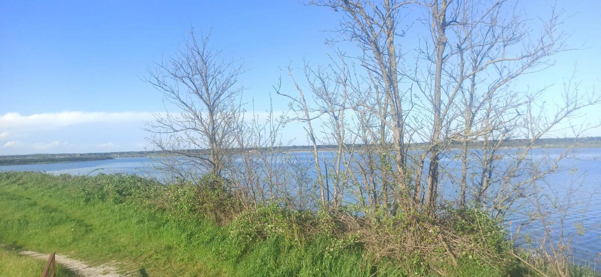 Casa Vacanze Nel Delta Del Po Taglio di Po 외부 사진